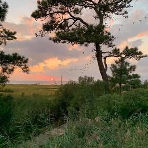 Meet your Posher, Joni